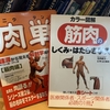 関節技の定義