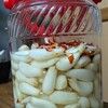 今年のらっきょう漬け