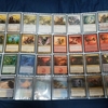 ＭＴＧ研究の今年の結論