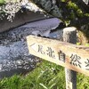 五条川 尾北自然遊歩道の桜並木　桜めぐり 2025