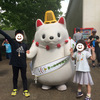 千葉ポートタワー、加曽利貝塚ほか