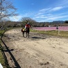 【宮崎】綾競馬見に行きました【草競馬】