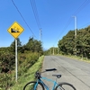 こういうサイクリングでいいんですよ