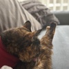 りらっくしゅ。