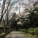 すなリハブログ