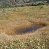 勝俣部長の「高尾登山と健康体質作り」７２４････非情で　いいのだ