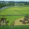 ドローンも飛ぶ、みちのく自転車道“田んぼアート”の旅（鏡石町）