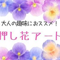 押し花とは 一般の人気 最新記事を集めました はてな