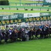 【神騎乗】JRAのGIを５番人気以下の馬で勝たせた騎手と回数