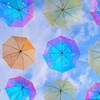 【保存版】雨1ミリで傘は必要？もう迷わない見極め方と外出のシーン別対策