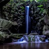 成田山の中に秘境 「雄飛の滝」