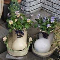 今日もメジロを相手にカメラ遊び