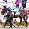 １５日に帰厩済。次走は来月６日の新潟・ダ１８００ｍを予定しています。☆ラッキーモー