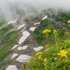 ◆'22/07/27　鳥海山・鉾立より⑤…伏拝岳～御田ヶ原分岐