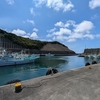 🎣八丈島で『手ぶらでお手軽釣り体験』しました😊