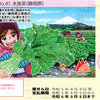 第425回レインボーくじ ～日本の伝統野菜シリーズNo.41 水掛菜