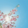 2025年2月の振り返り