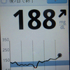 計測記録、137日目