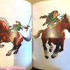 感想　ゼルダの伝説　ハイラルグラフィックス