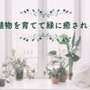 植物を育てて緑に癒される 日々の成長を毎日の楽しみに…