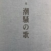 潮騒の歌　八木道雄詩集