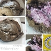 ビアードパパのブルーベリーチーズケーキを実食レビュー。クリームチーズ＋ジャムの味でした。【スイーツ】