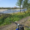 多摩川。菜の花。太いタイヤの自転車、子どもに人気。