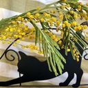 鈴まろの備忘録