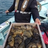 2/23釣果