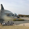 三重D2／穴場発見！駅から近くて徒歩圏内の水族館