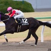 カフジテイク湯窪師「展開ひとつだと思います」/チャンピオンズC共同会見