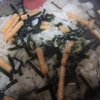 お正月の飲みすぎ 永谷園のお茶漬けが食べやすくて二日酔いから復活 梅もおすすめ