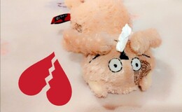 記事を見る