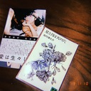 独断と偏愛