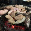 旭川でホルモン食べるモン「塩焼きホルモンはるちゃん」