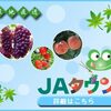 JAタウンで全国の旬を味わおう🍓！産地直送の新鮮食材をお取り寄せ【おすすめ通販】