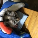 taroのgritブログ