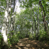 磐梯山登山と周辺散歩（つづき）