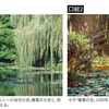I can't believe it's Monet's work... The Water Lilies, which he painted in despair in his later years, after three operations for cataracts, saying he no longer had the eyes of an artist.