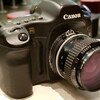 【EOS 5Dとオールドレンズ】ニコンでメンテ済NIKKOR 35mmで快適撮影