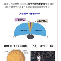 周辺視野を広げるトレーニング方法 Us Vt ビジョントレーニング Us Vt ビジョントレーニング Tarachangブログ 周辺視野を広げるトレーニング方法 Us Vt ビジョントレーニング Us Vt ビジョントレーニング Tarachangブログ