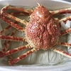 高足ガニ（高脚蟹）