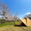 富山でお花見キャンプならここで決まり！上和田緑地キャンプ場！（富山県）＃090