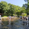 アクア・トト ぎふ 河川環境楽園-避暑におすすめな公園