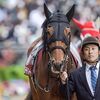 ２勝目を挙げた前走よりも攻め強化。道悪も前走で克服済と淡い期待を持っていたも、前走からマイナス８キロと知ってトーンダウン。また、レースが思っていた以上に流れたことで追走に手一杯。直線を向いた時には既に余力がなく、最下位に沈んでしまう。★ロードディフィート