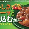 カレーなる日々