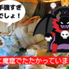 晩秋から大晦日までの38chanダイジェスト