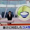 「佐久の季節便り」、「鬼百合」の繁殖は、「鱗茎」による無性生殖…