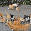 閑話小題　～激動期の真只中に
