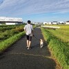 2週連続で京都に行ってみた(南禅寺～哲学の道編)